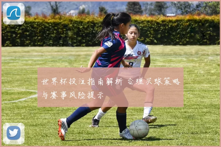 世界杯投注指南解析 合理买球策略与赛事风险提示